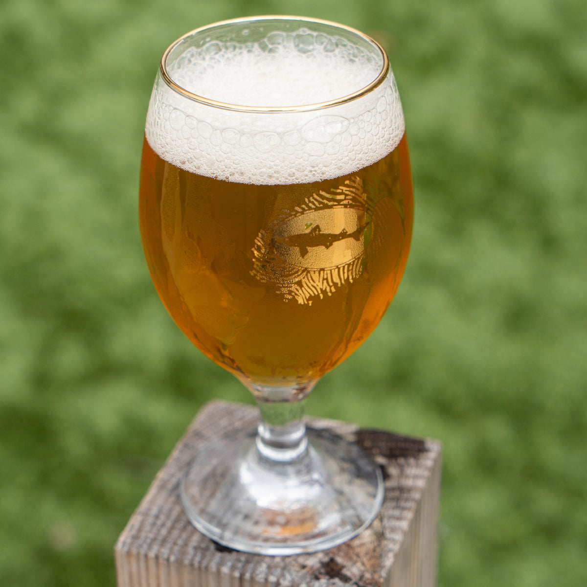 A Midas Touch Gold Rimmed Goblet with a gold-rimmed edge, resting on a wooden post.