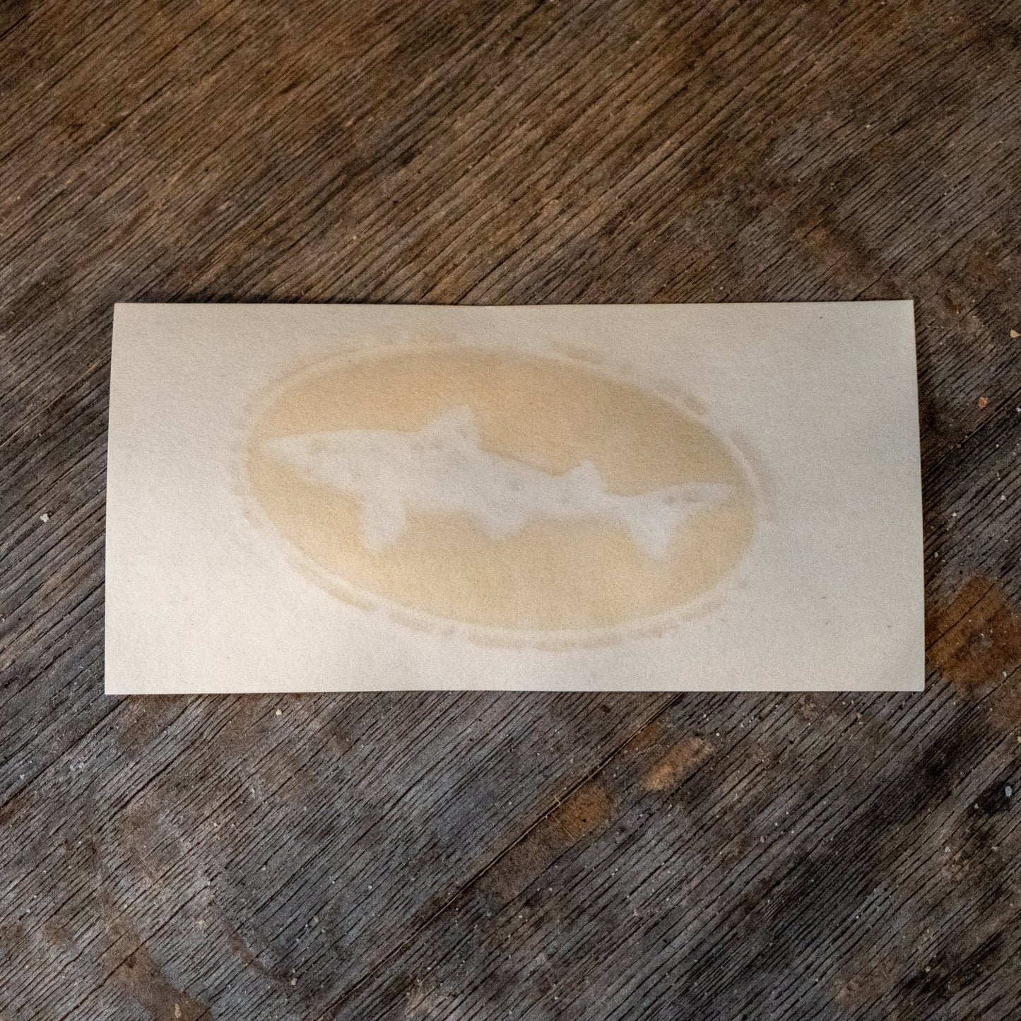 A piece of paper on wood with a faint oval coffee stain, featuring three shark outlines in the center—evoking the style of KCB Print Resources' Small Logo Decal.