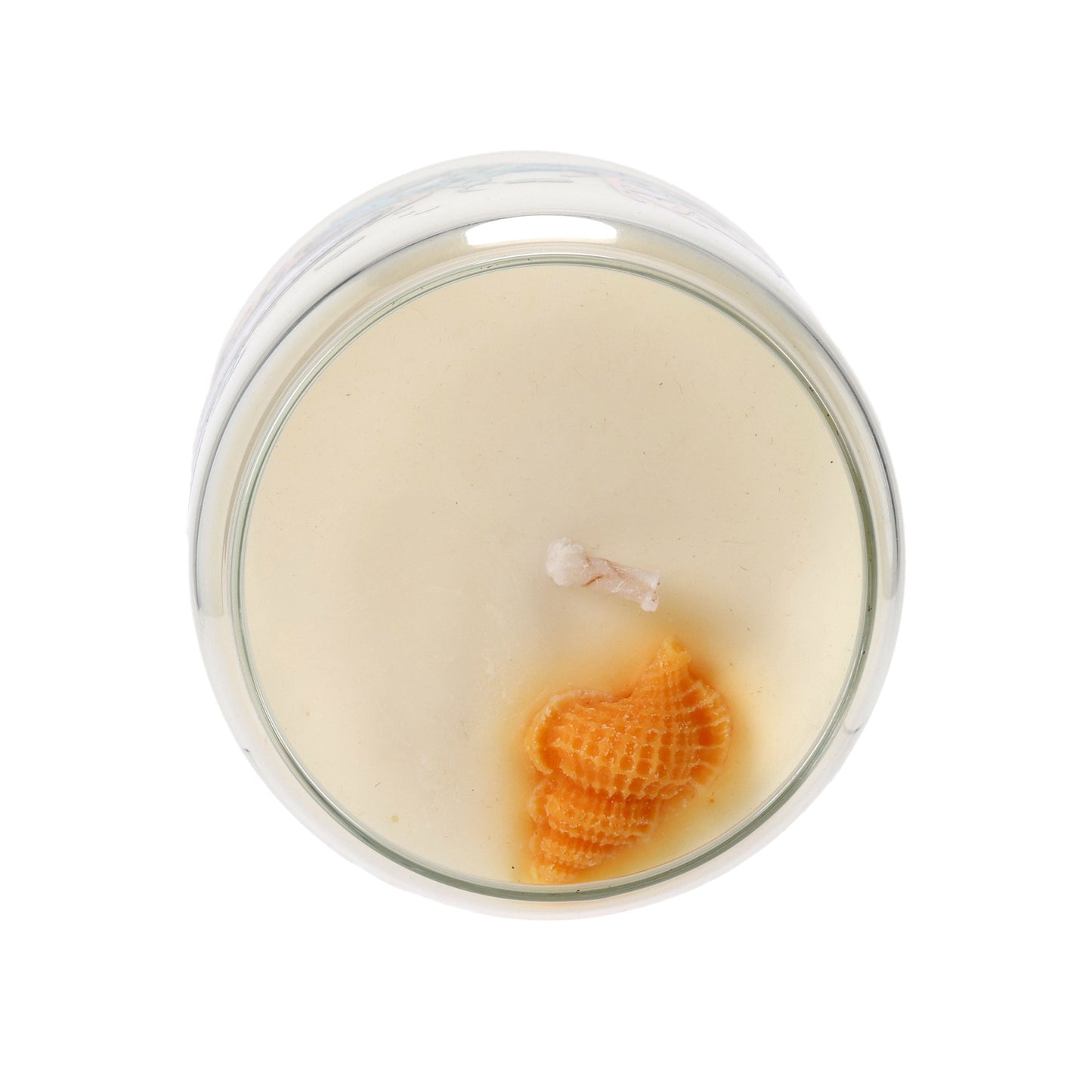 Top view of the Under the Sea Can Glass Candle by Unwined Candles, LLC, featuring an orange seashell near the wick and evoking a tranquil ocean vibe, set against a white background.