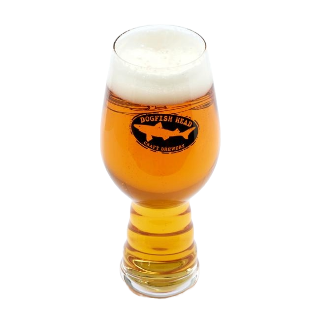 A 19oz glass filled with beer featuring black imagery of underwater designs on the front with writing "Explore Goodness" on it. The other side of the glass features a black Dogfish Head shark and shield logo.