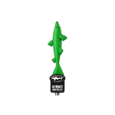 Green tap handle shaped like a shark. The base is black and features the Dogfish Head shark and shield logo and writing "60 Minute India Pale Ale"