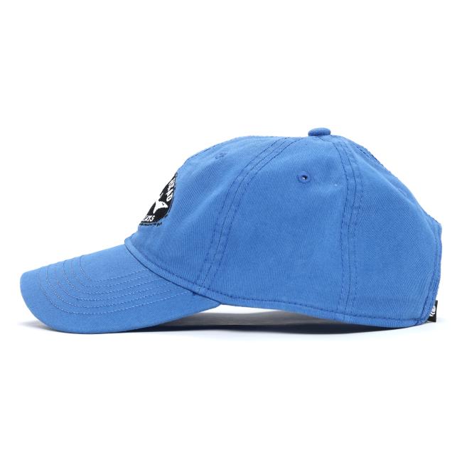 Side view of a blue L2 Brands baseball cap with a curved brim and black & white Dogfish Head patch. Features visible stitching, side eyelets, and pairs perfectly with our Brewings and Eats Hat and Tee Pair.