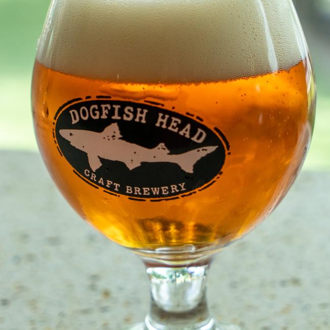 A Craft Brewery Occasional Glass by Grandstand Glassware & Apparel filled with amber beer and a foamy head sits on a light surface, set against a softly blurred green background.