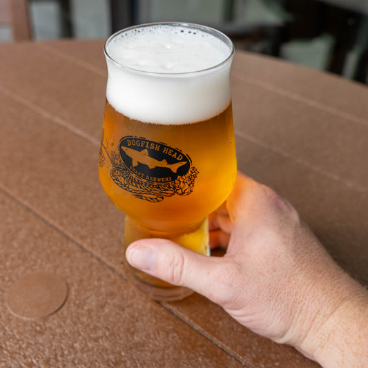 A hand holds an Anchor IPA Glass filled with beer and a foamy head.