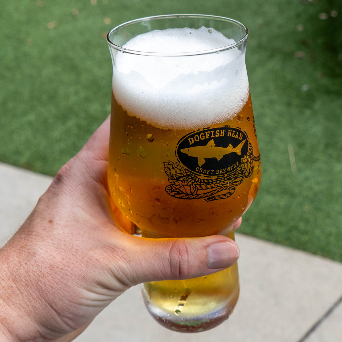 A hand holds an Anchor IPA Glass filled with beer featuring a foamy head and a circular logo of a shark with the text Dogfish Head Craft Brewery.