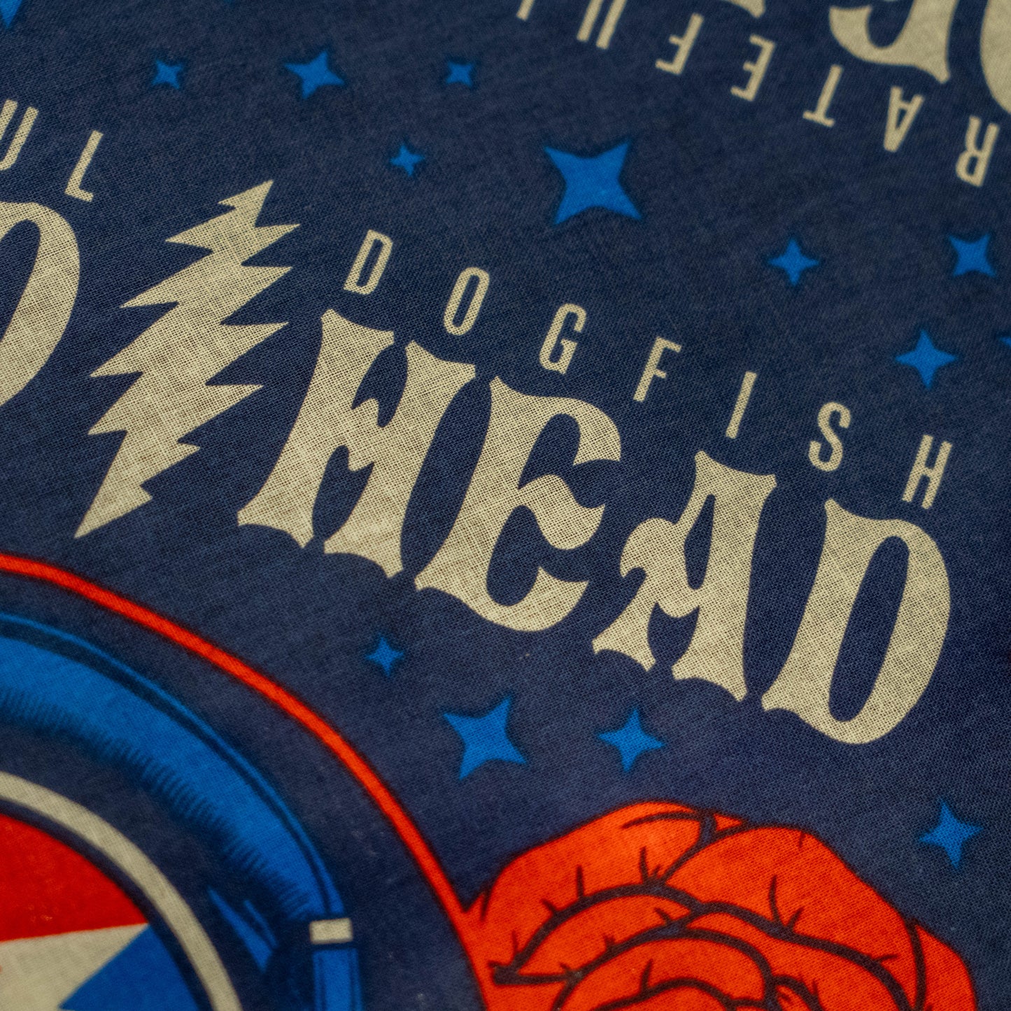 Close up of logo, shows a lightning bolt and "Dogfish Head"
