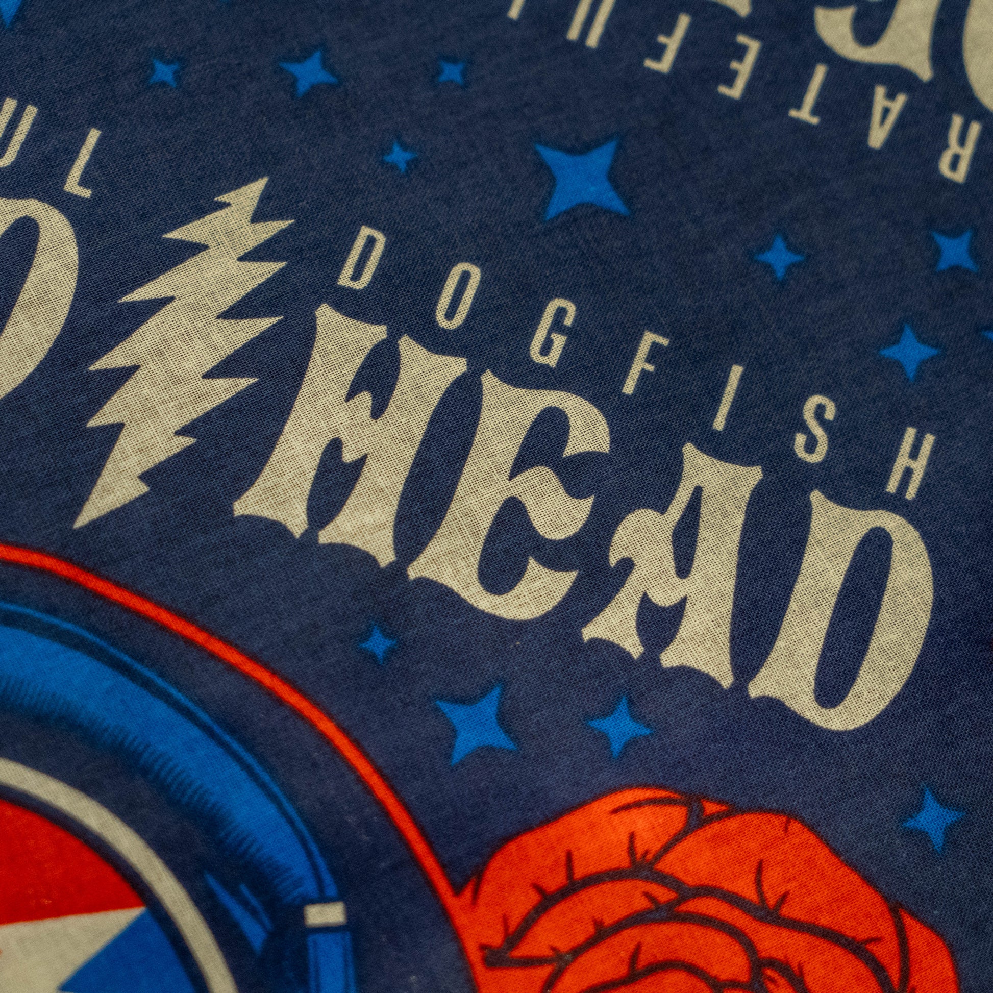 Close up of logo, shows a lightning bolt and "Dogfish Head"