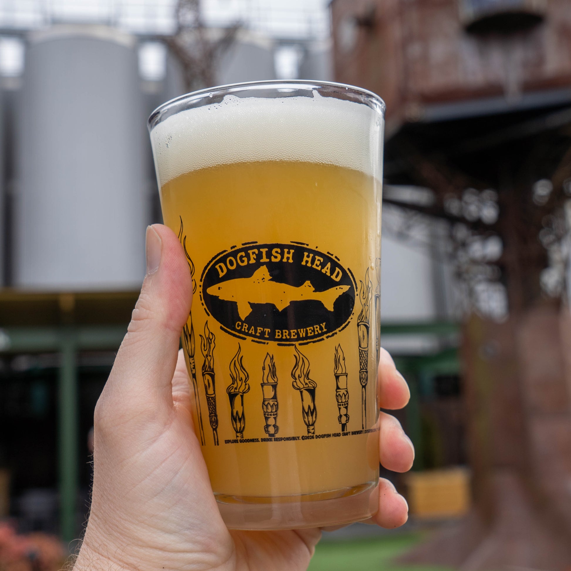 Hand holding a glass of beer with Dogfish Head Craft Brewery logo at an outdoor location.