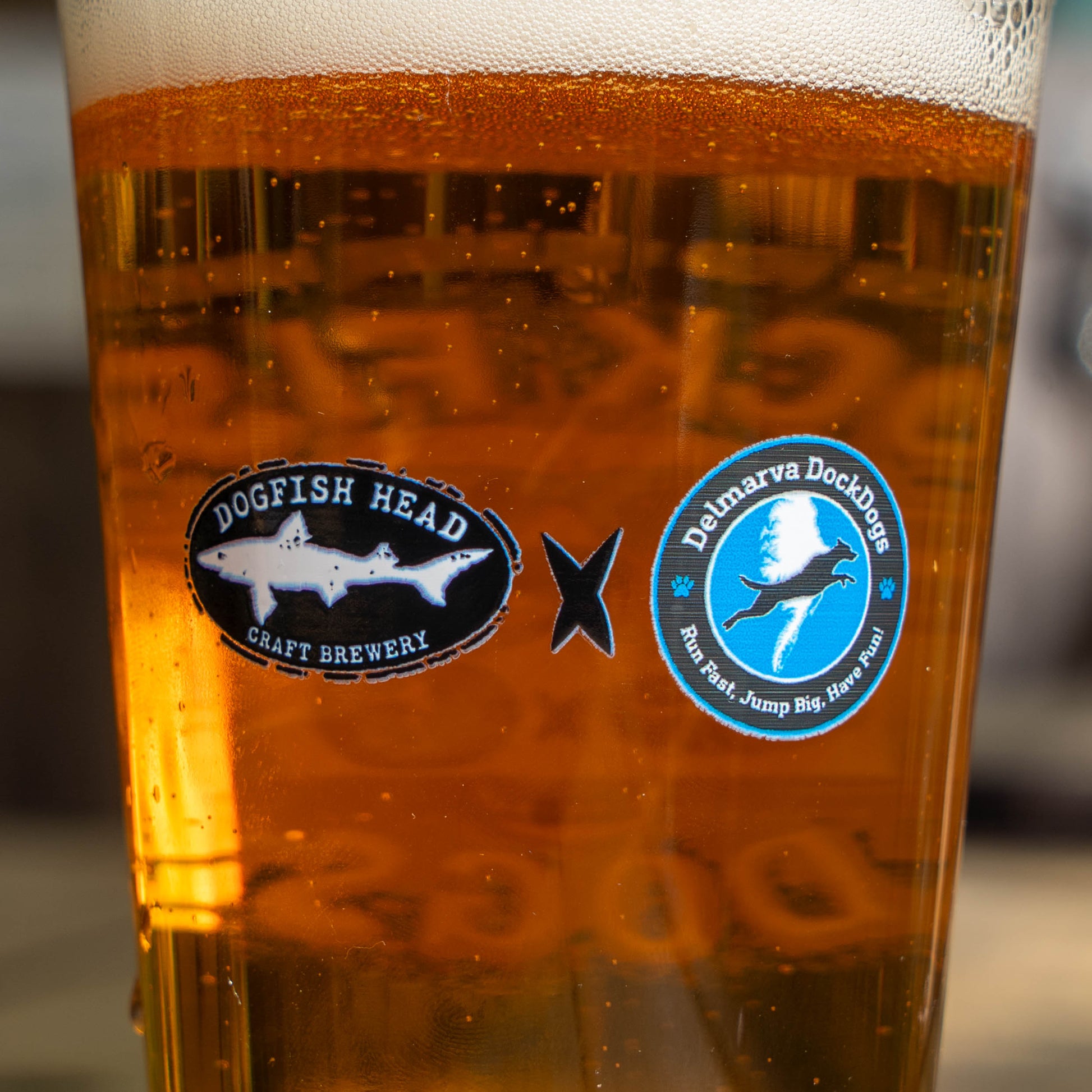 Classic black Dogfish Head logo and a Delmarva DockDogs logo on a pint glass filled with beer