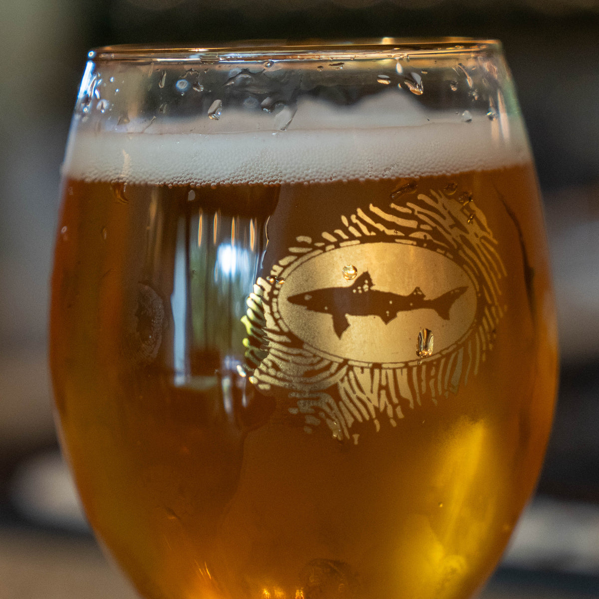 A Midas Touch Gold Rimmed Goblet filled with amber beer, featuring a gold graphic of a shark inside a fingerprint-shaped oval.