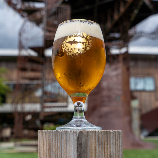 A Midas Touch Gold Rimmed Goblet from the Ancient Ales collection, filled with beer and featuring a fish-in-fingerprint logo, resting on a wooden post.