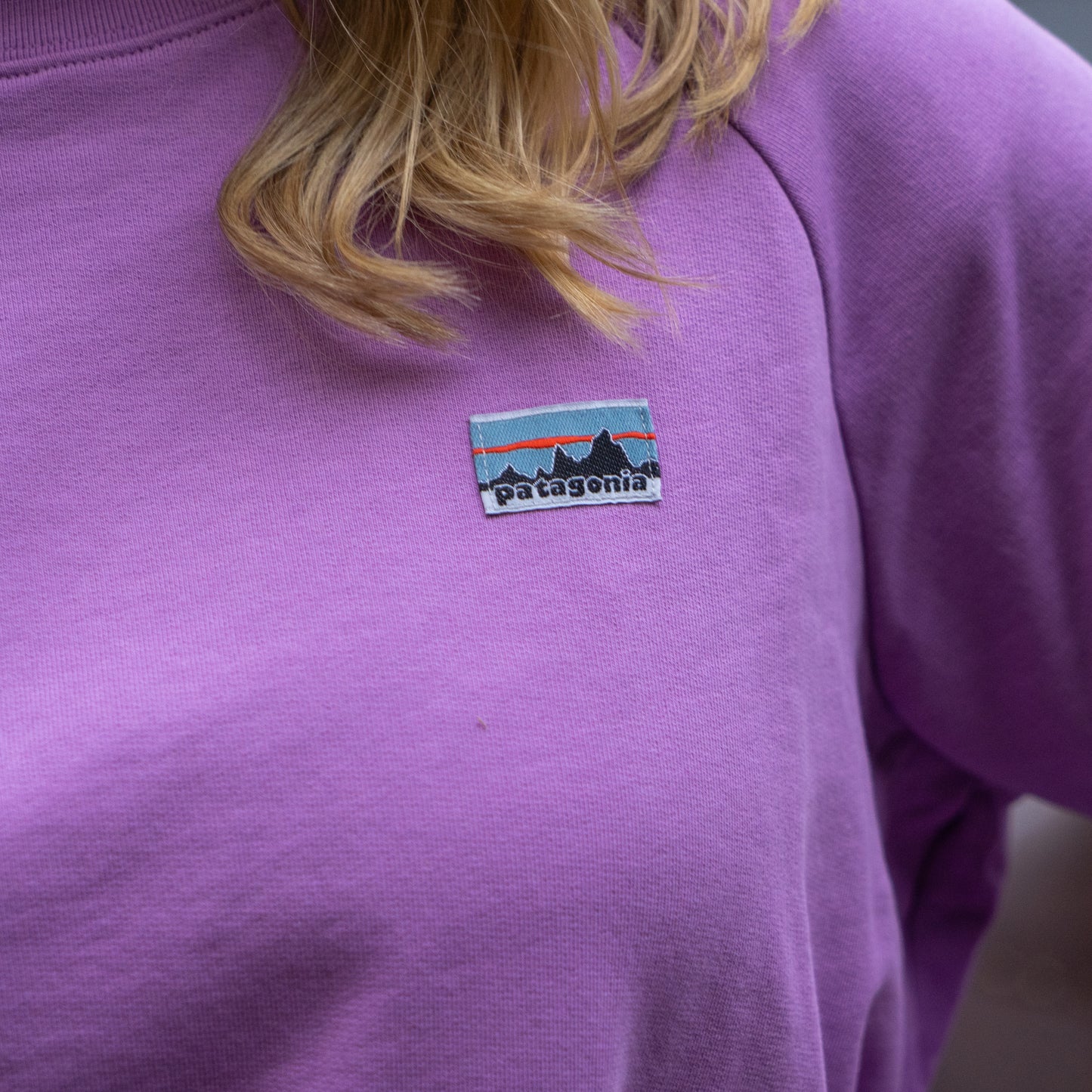 Purple sweatshirt with Patagonia logo on a blurred background