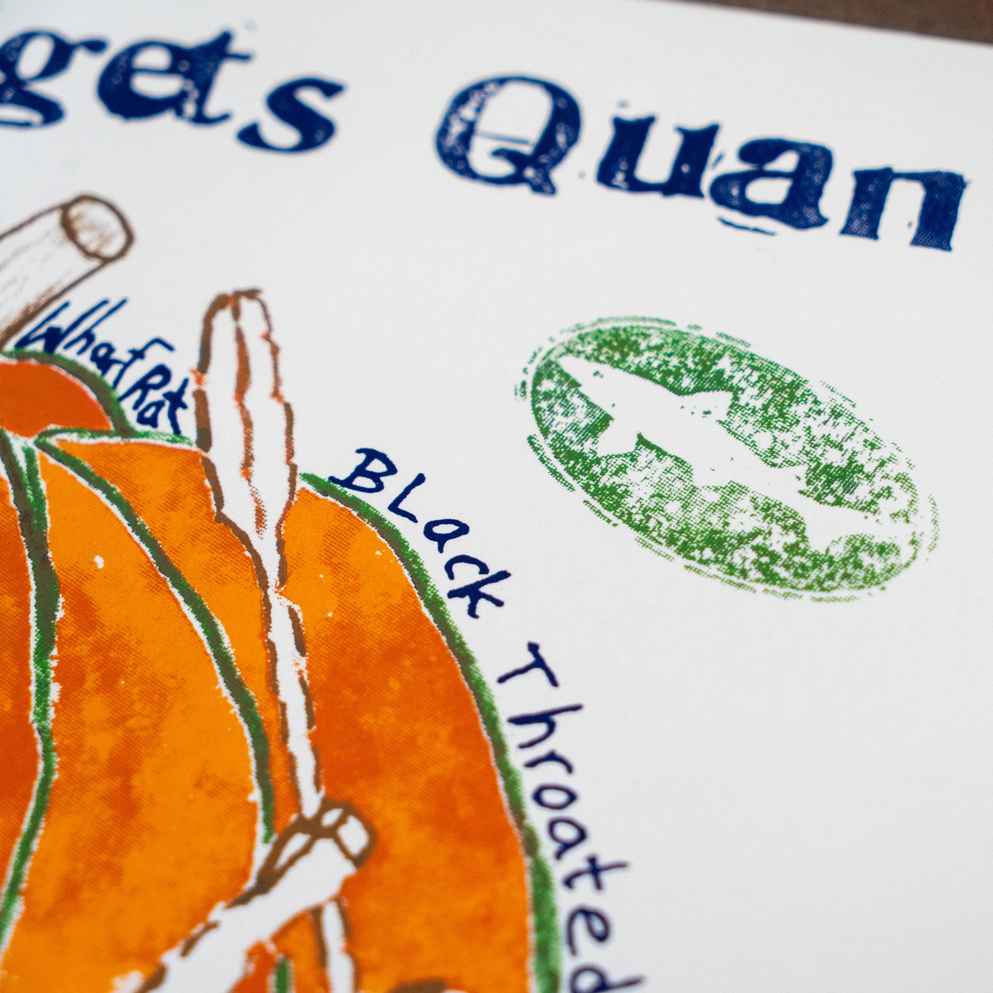 Close-up of a printed or illustrated design on white paper, showing orange pumpkin shapes, blue text, a green oval stamp-like graphic, and handwritten-style labels including 'Black Throated'.