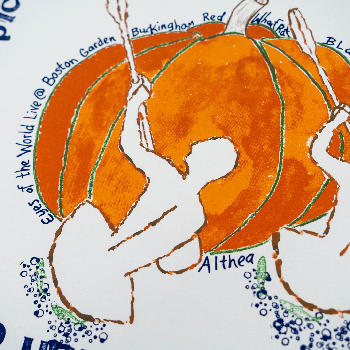 A close-up of an illustrated print featuring a large orange pumpkin with hand-drawn green outlines, white stylized human figures climbing or interacting with it, and handwritten text including 'Boston Garden,' 'Buckingham Red,' 'Althea,' and 'Evangelion of the World Live @.' The artwork is photographed on a white background with partial surrounding text visible.