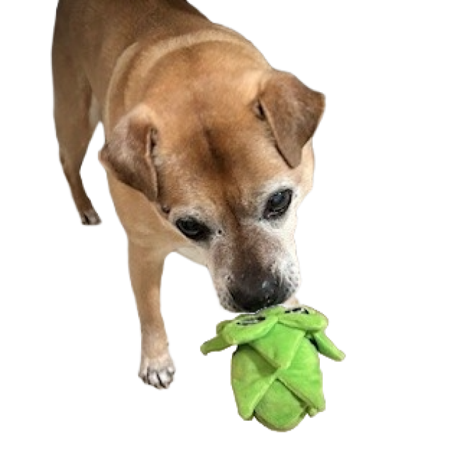 A brown dog with short fur stands on a plain white background, holding the PrideBites Plush Hop Dog Toy with a durable squeaker in its mouth.