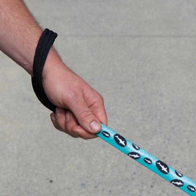 A hand holds a Lupine, Inc. Teal Dog Leash featuring a black wrist strap and a black-and-white shark fin pattern. A concrete surface is in the background—pair it with matching collars for a coordinated look.