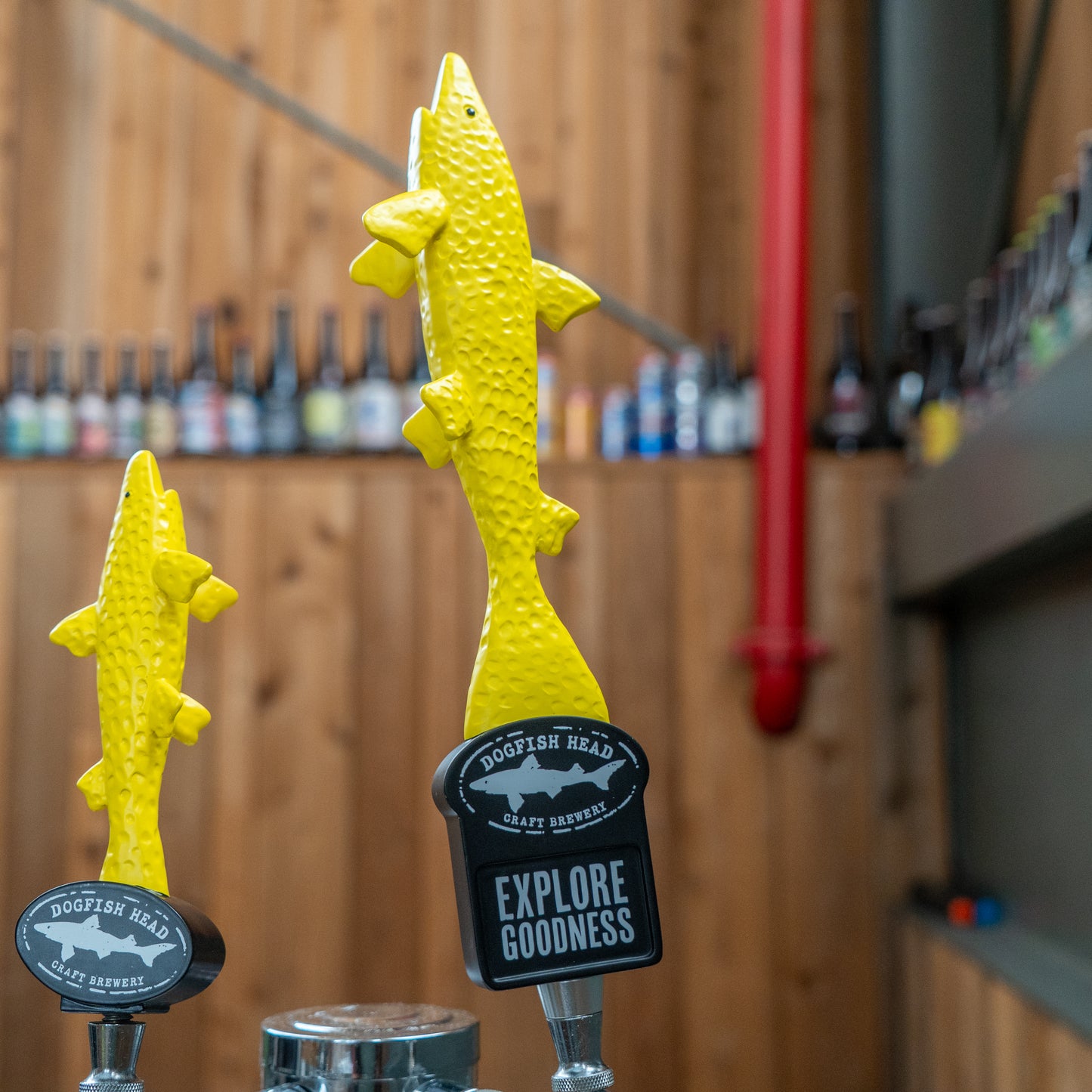 Two neon yellow shark-shaped Merchtank Yellow Shark Tap Handles stand before a wooden wall lined with bottles. One tap displays EXPLORE GOODNESS in bold white text.