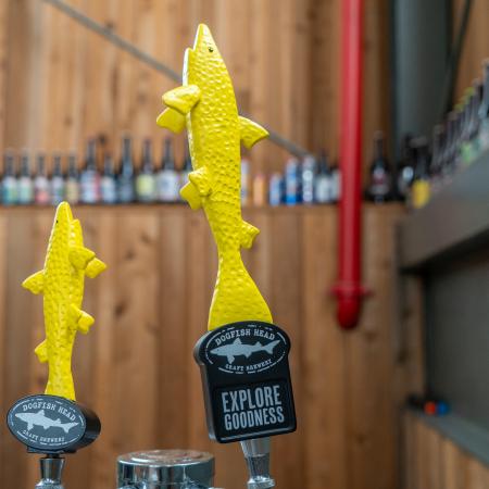 Yellow shark handle shown on tap with black base with Dogfish Head shark and shield logo on it and writing "Explore Goodness".