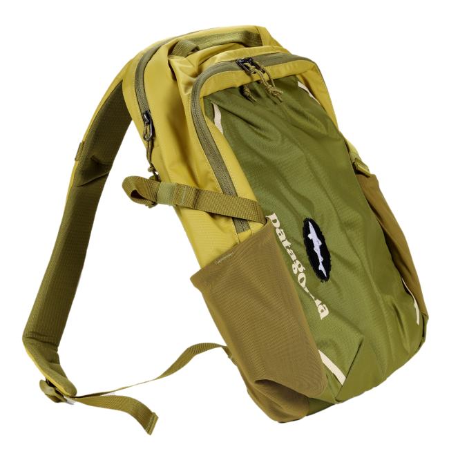 Angled view of the Patagonia backpack showcasing its contoured shape, padded straps, mesh side pocket, front zip compartment, and Dogfish Head shark logo patch.
