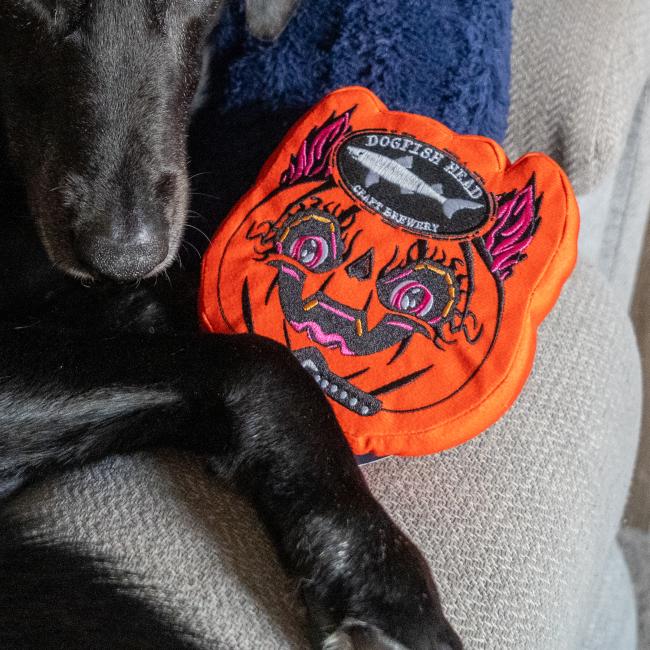 Image features a dog with the orange Punkin dog toy in the shape of the artwork with the Dogfish Head shark and shield logo up top.