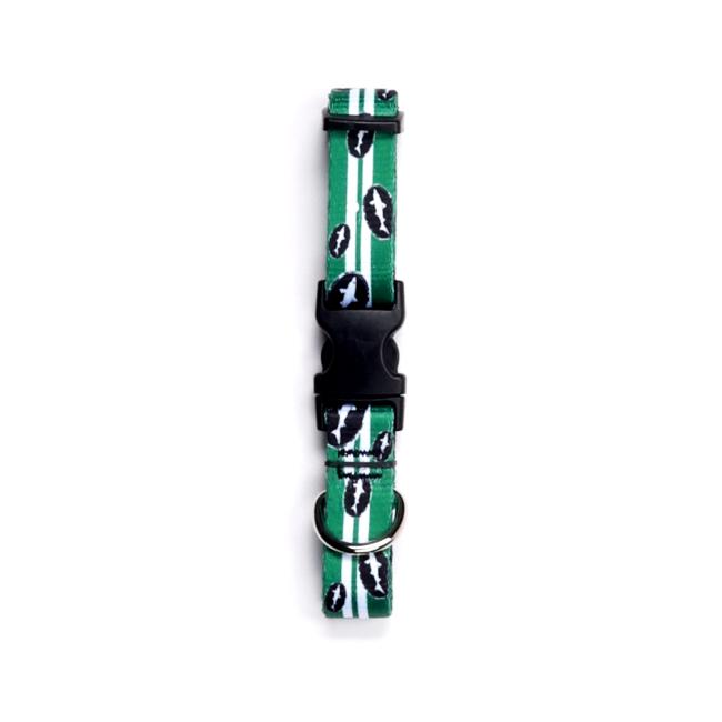 Green dog collar covered in small white silhouettes of Dogfish shark.