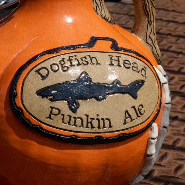 Close-up of the Dogfish head logo centered with writing 