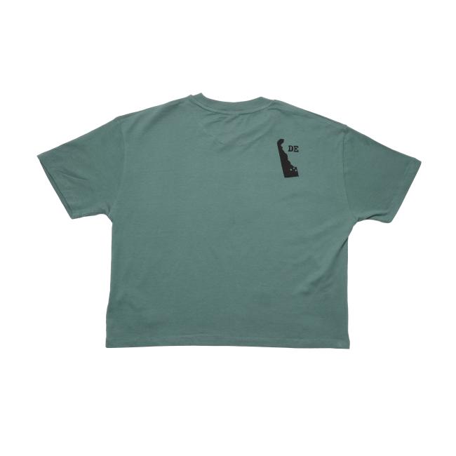 Back of green tee with silhouette of Delaware and letters